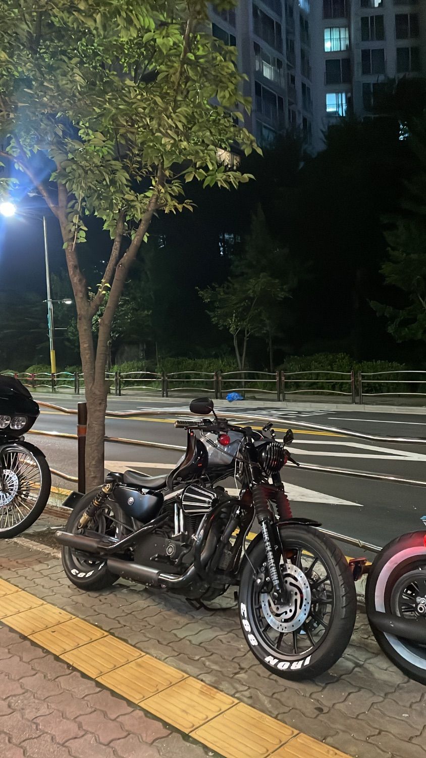 할리데이비슨 아이언 883 more