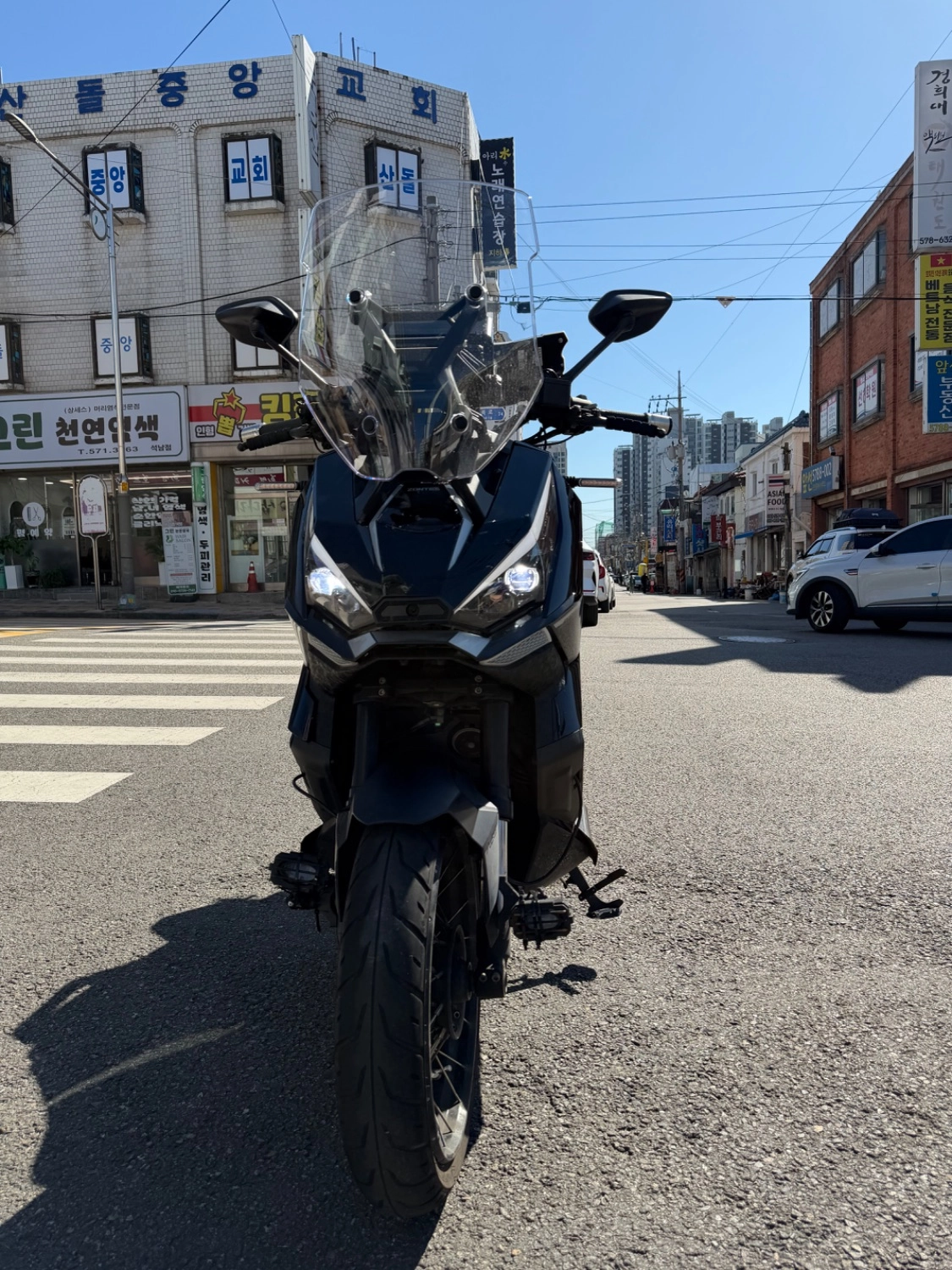 존테스 368 G