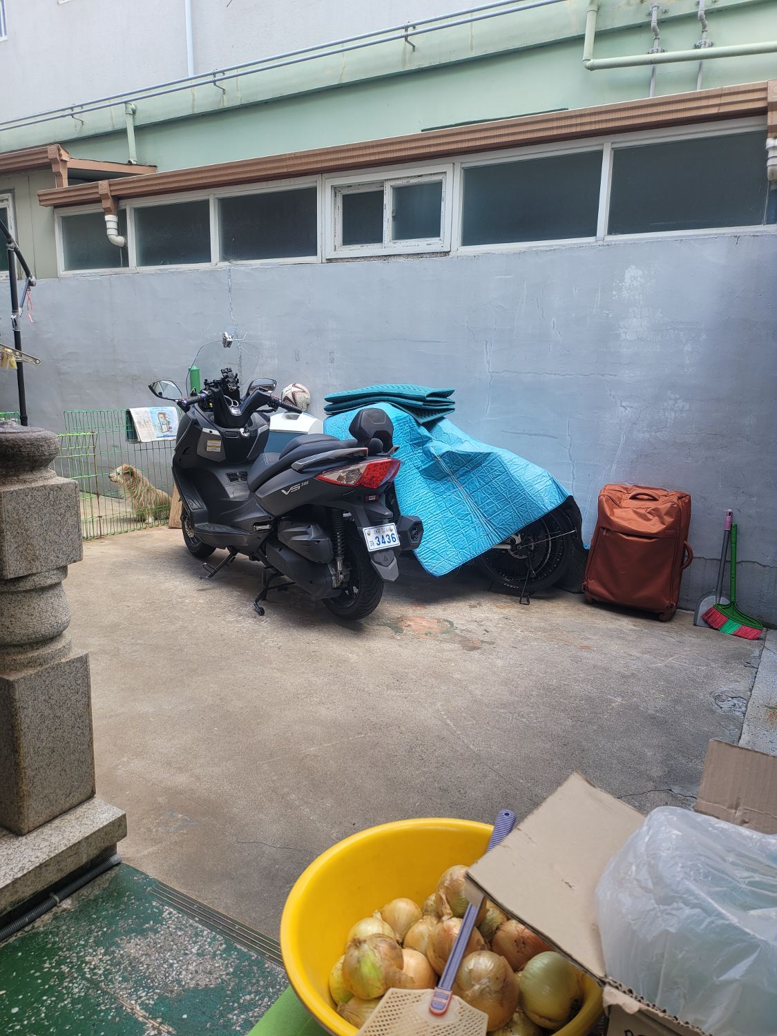 SYM 조이맥스 300 i ABS more