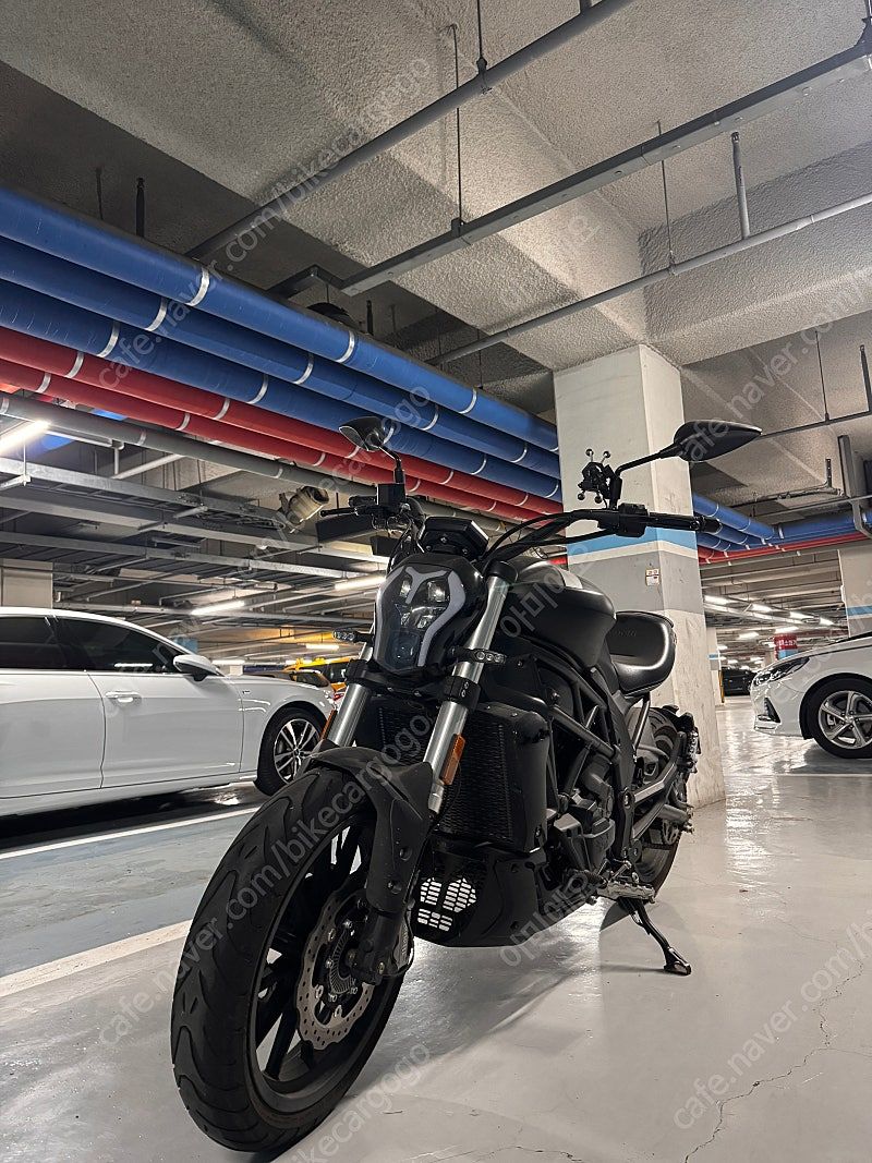 베넬리 502 C thumb 2