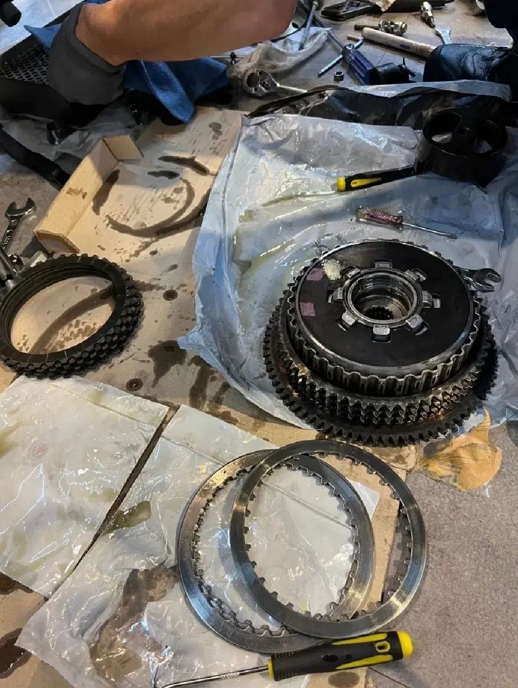 할리데이비슨 포티에잇 thumb 2