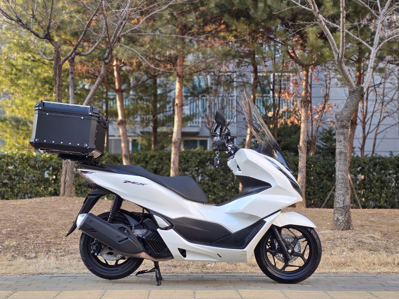 혼다 PCX 125 2024년식 개인중고 295만원 | 라이트바겐
