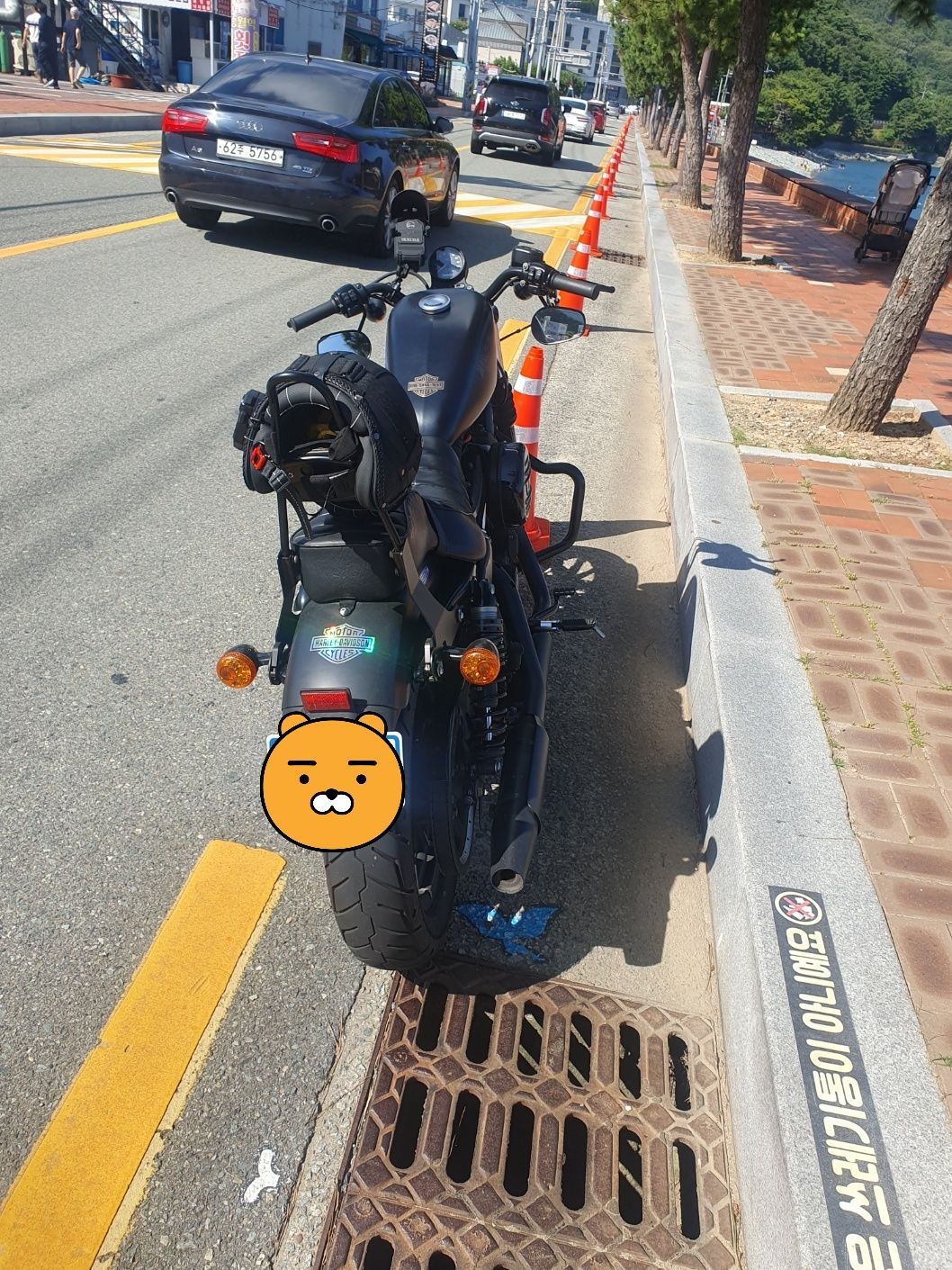 할리데이비슨 아이언 883 2018 블랙 사진 5