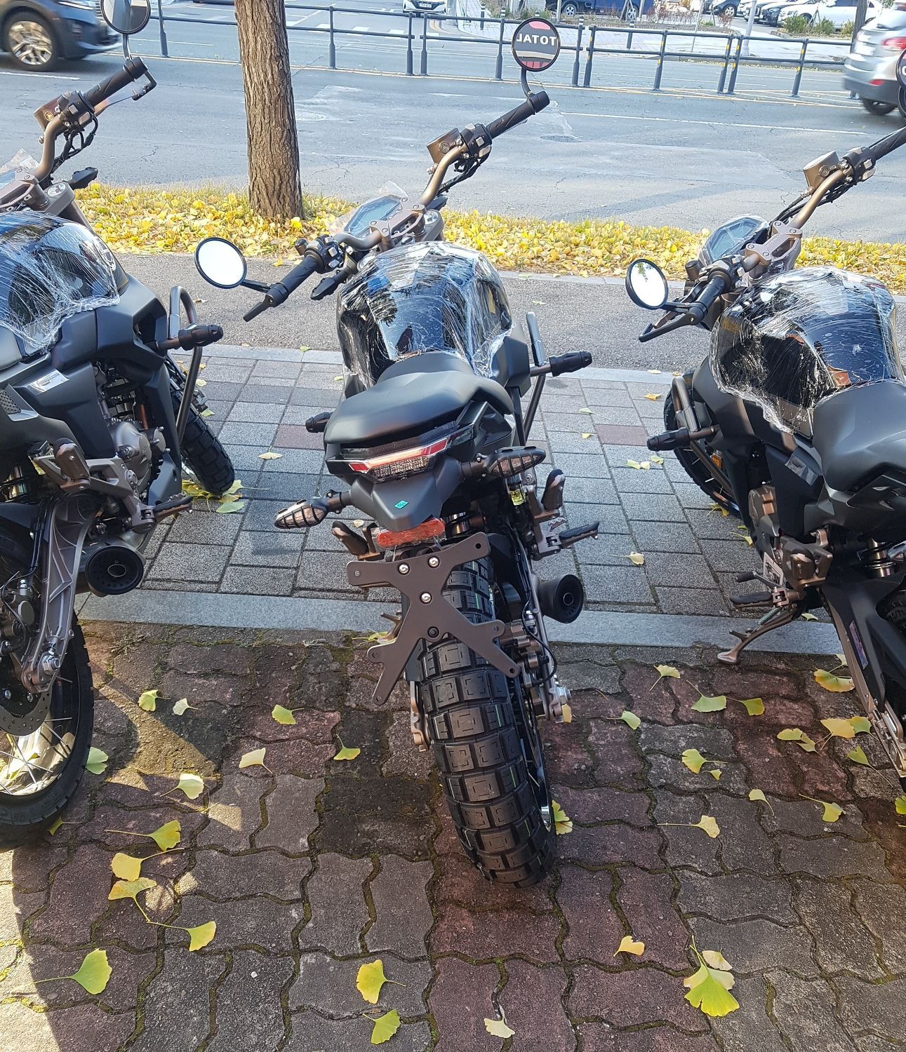 존테스 125 G1 thumb 2