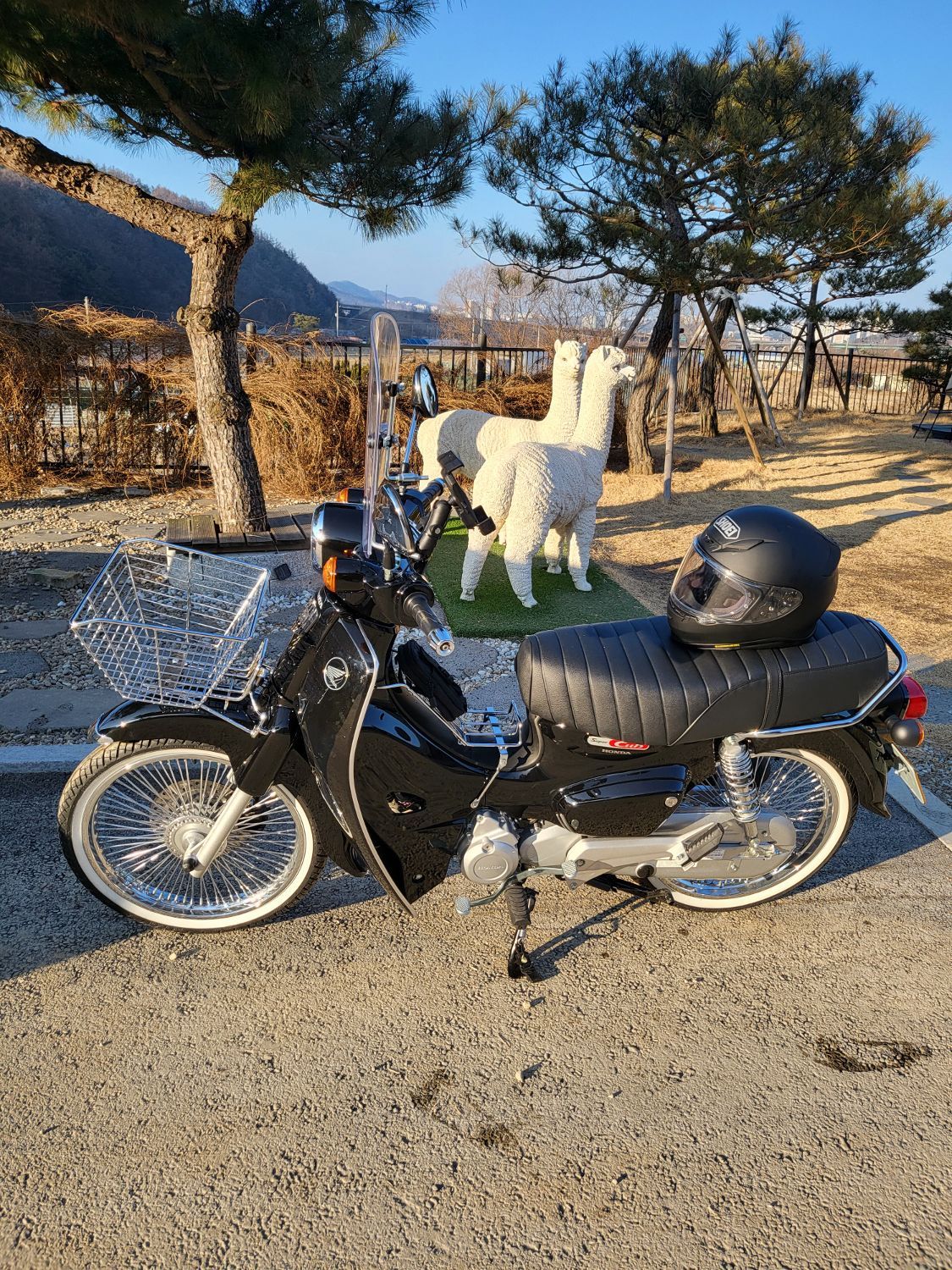 혼다 슈퍼 커브 110 more