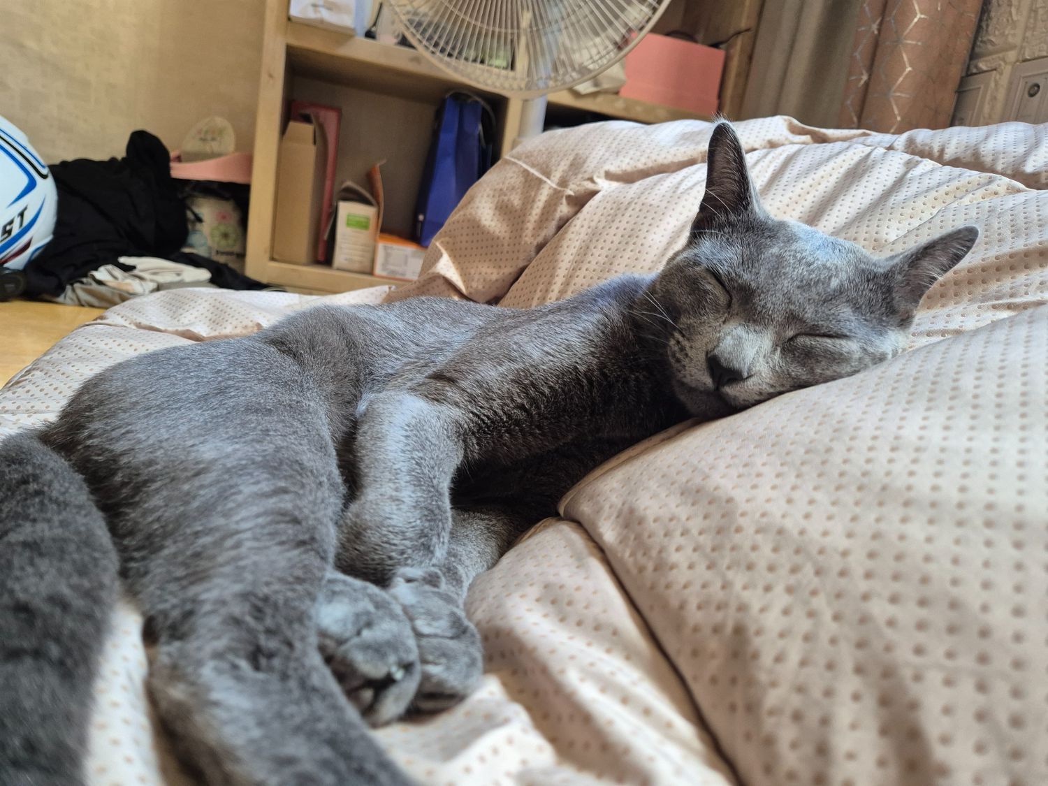 스즈키 어드레스 V 125 G thumb 2