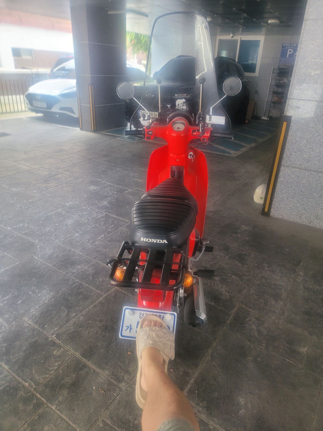 혼다 슈퍼 커브 110 thumb 2