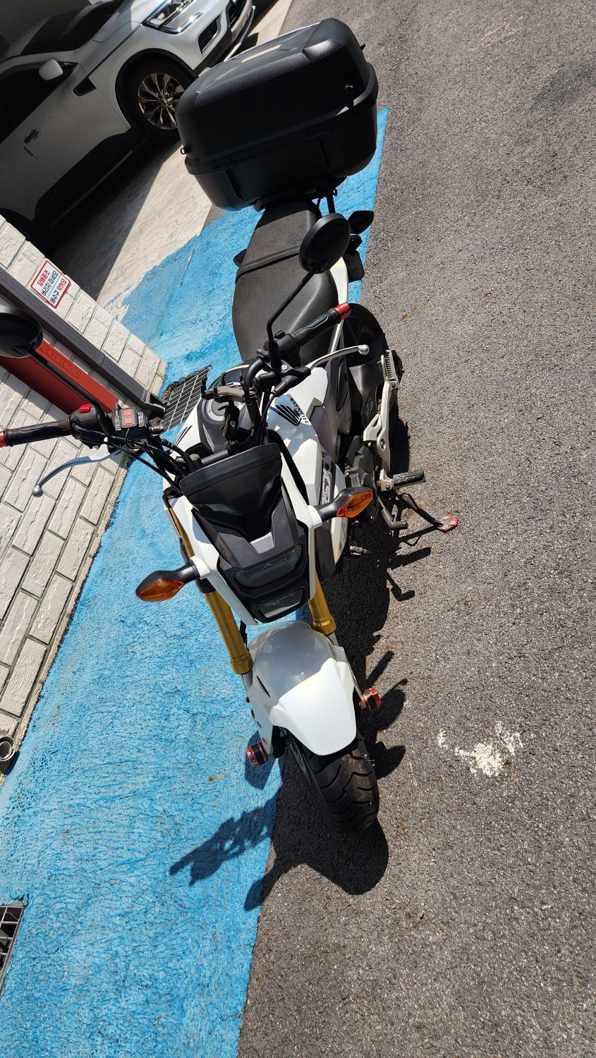 혼다 MSX 125 thumb 2