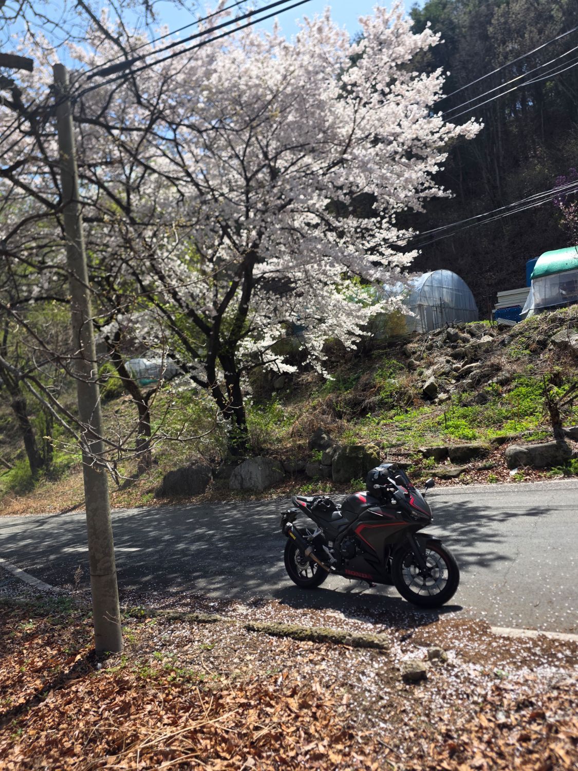 혼다 CBR 500 R more