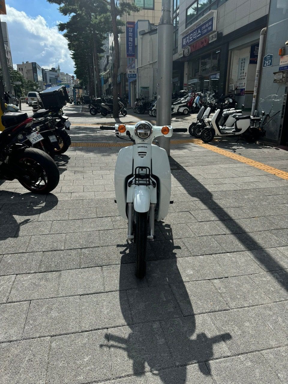 혼다 슈퍼 커브 110 thumb 2