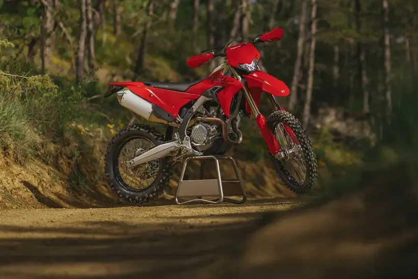 Ducati Desmo450 EDS parked in a forest