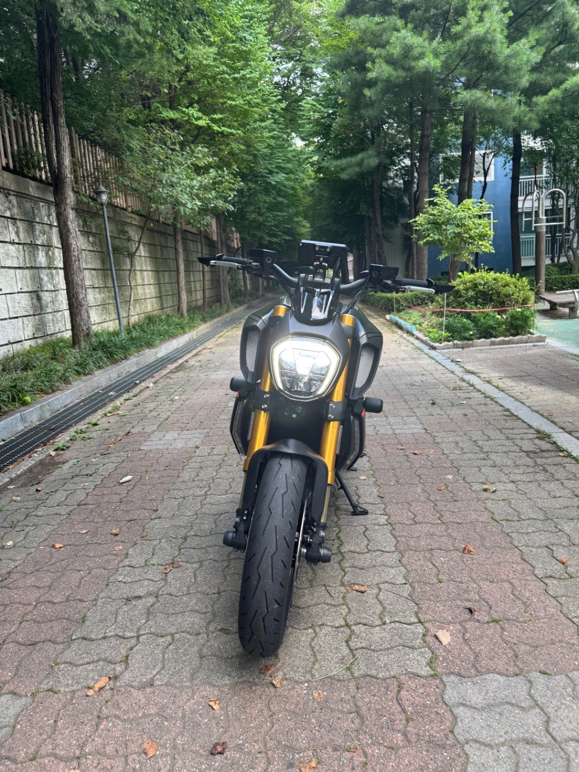 두카티 디아벨 1260 S 2020 블랙 사진 3