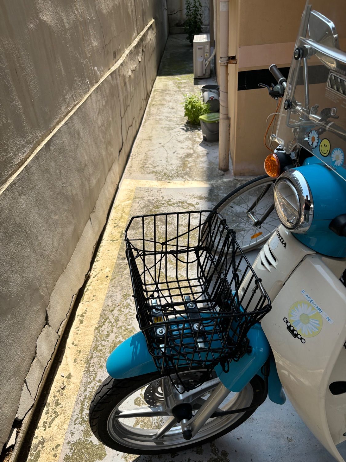 혼다 슈퍼 커브 110 thumb 2