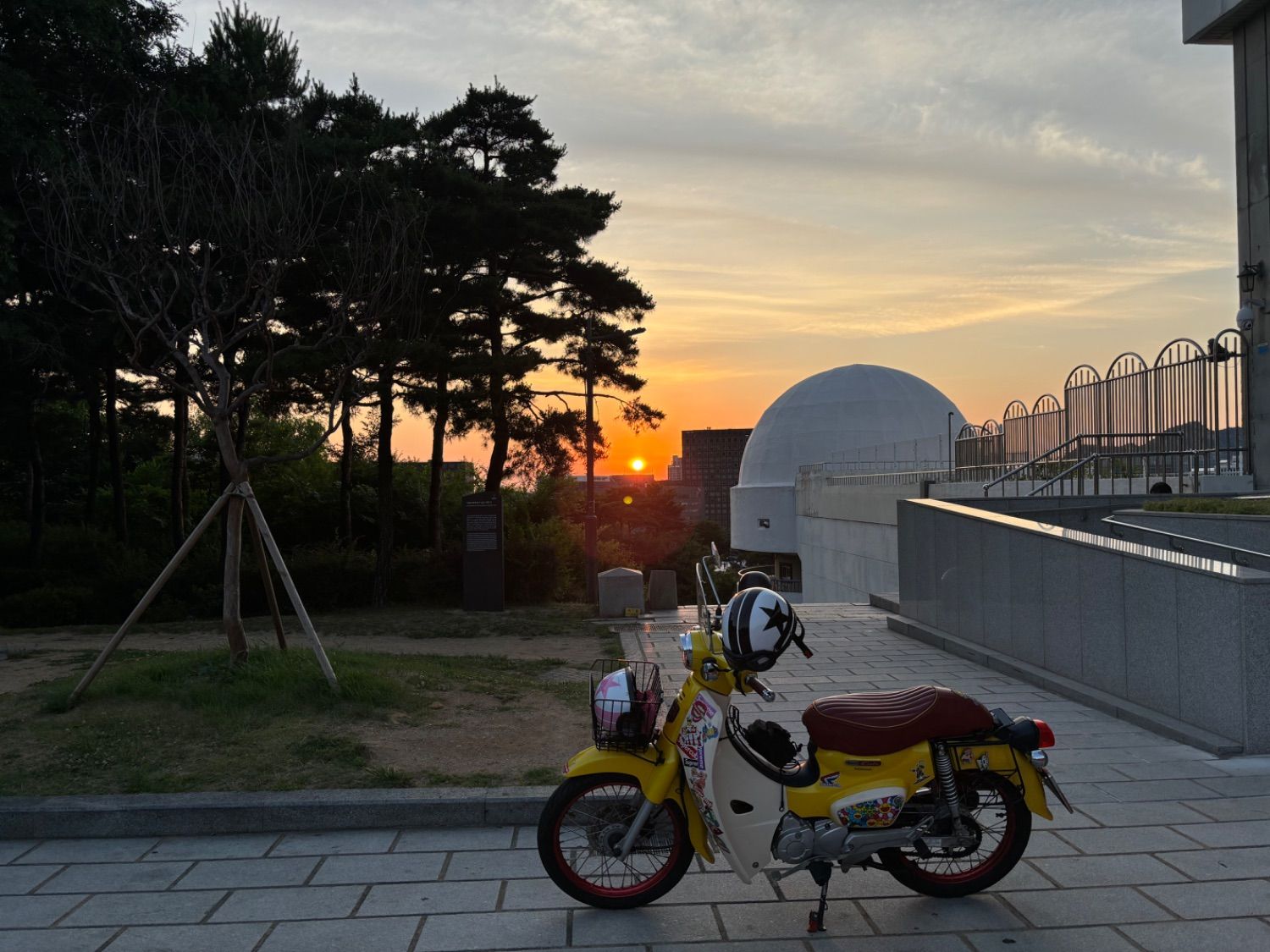 혼다 슈퍼 커브 110 thumb 2