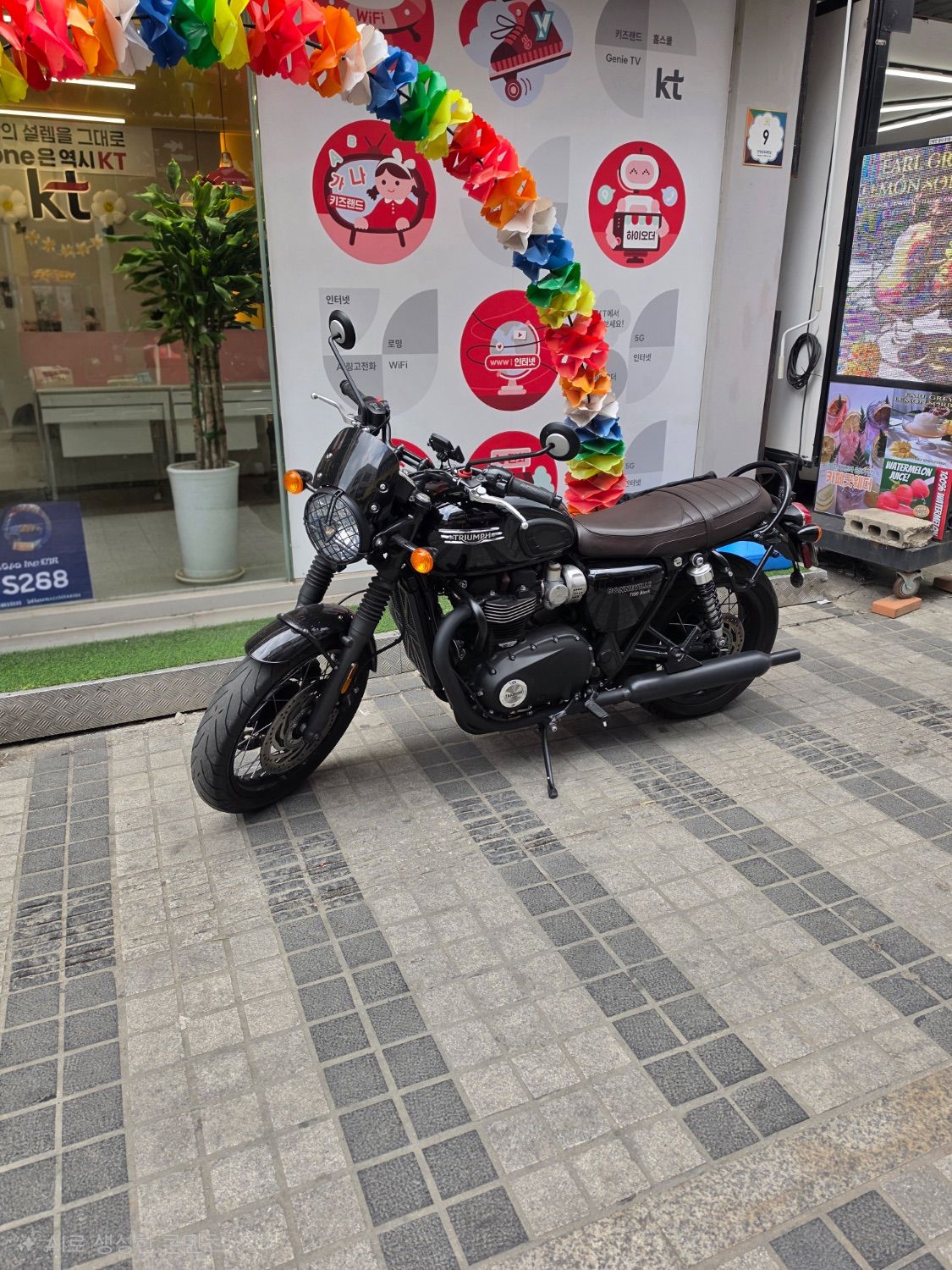 트라이엄프 본네빌 T120 블랙 2022 블랙 사진 2