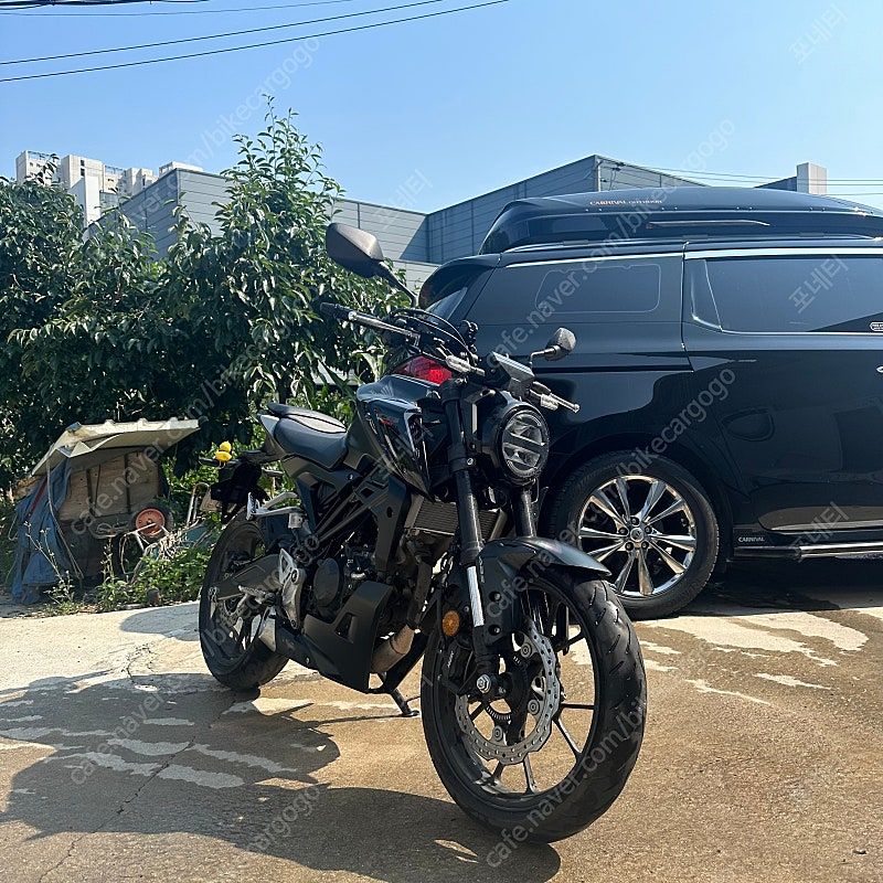 혼다 CB 125 R thumb 2