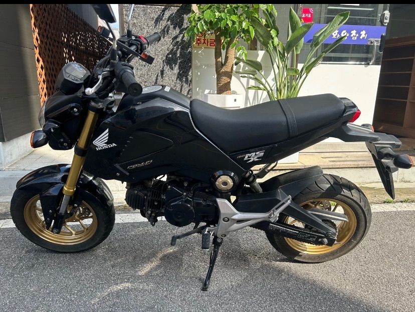 혼다 MSX 125 more