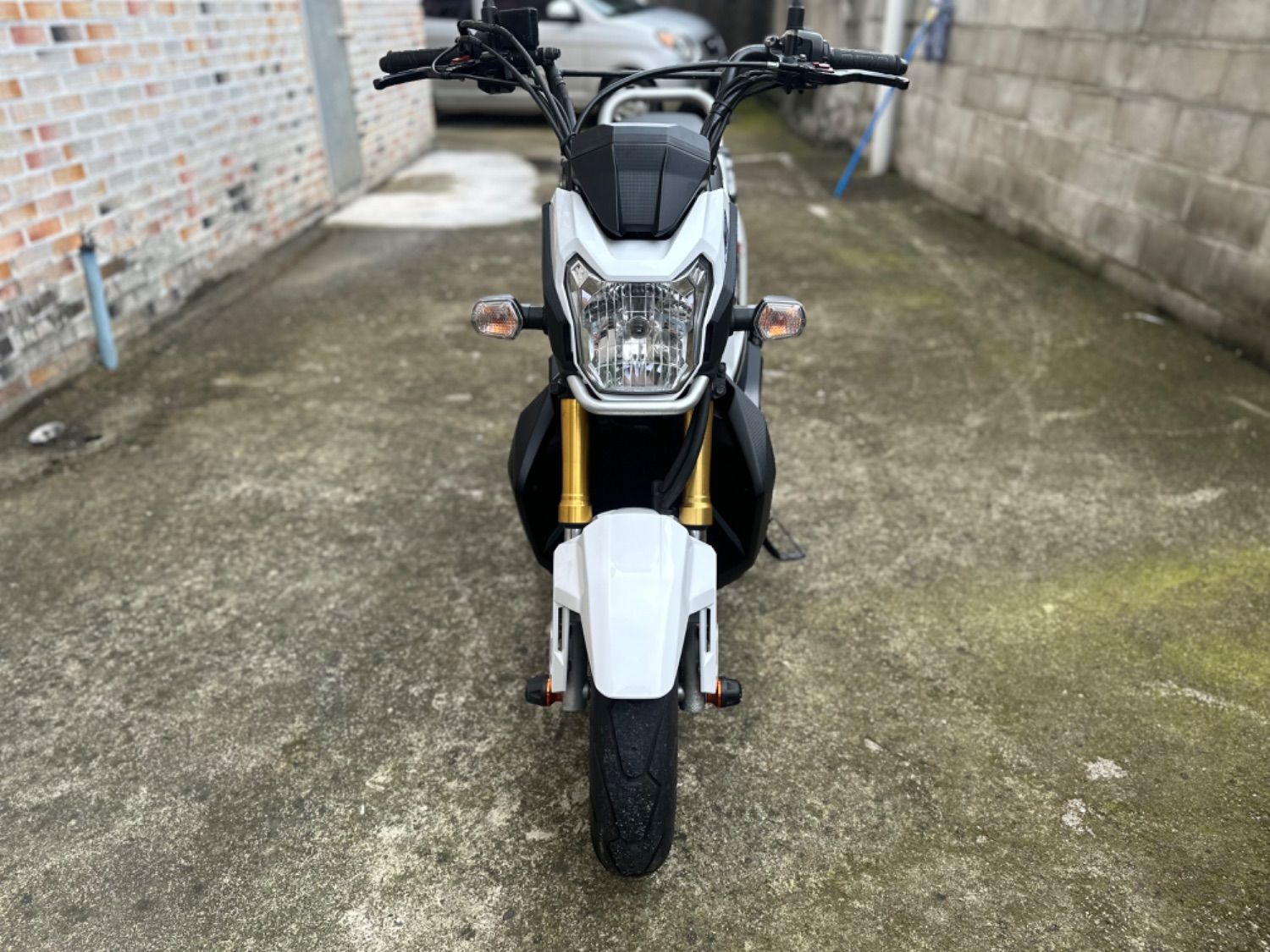 혼다 줌머 X thumb 2