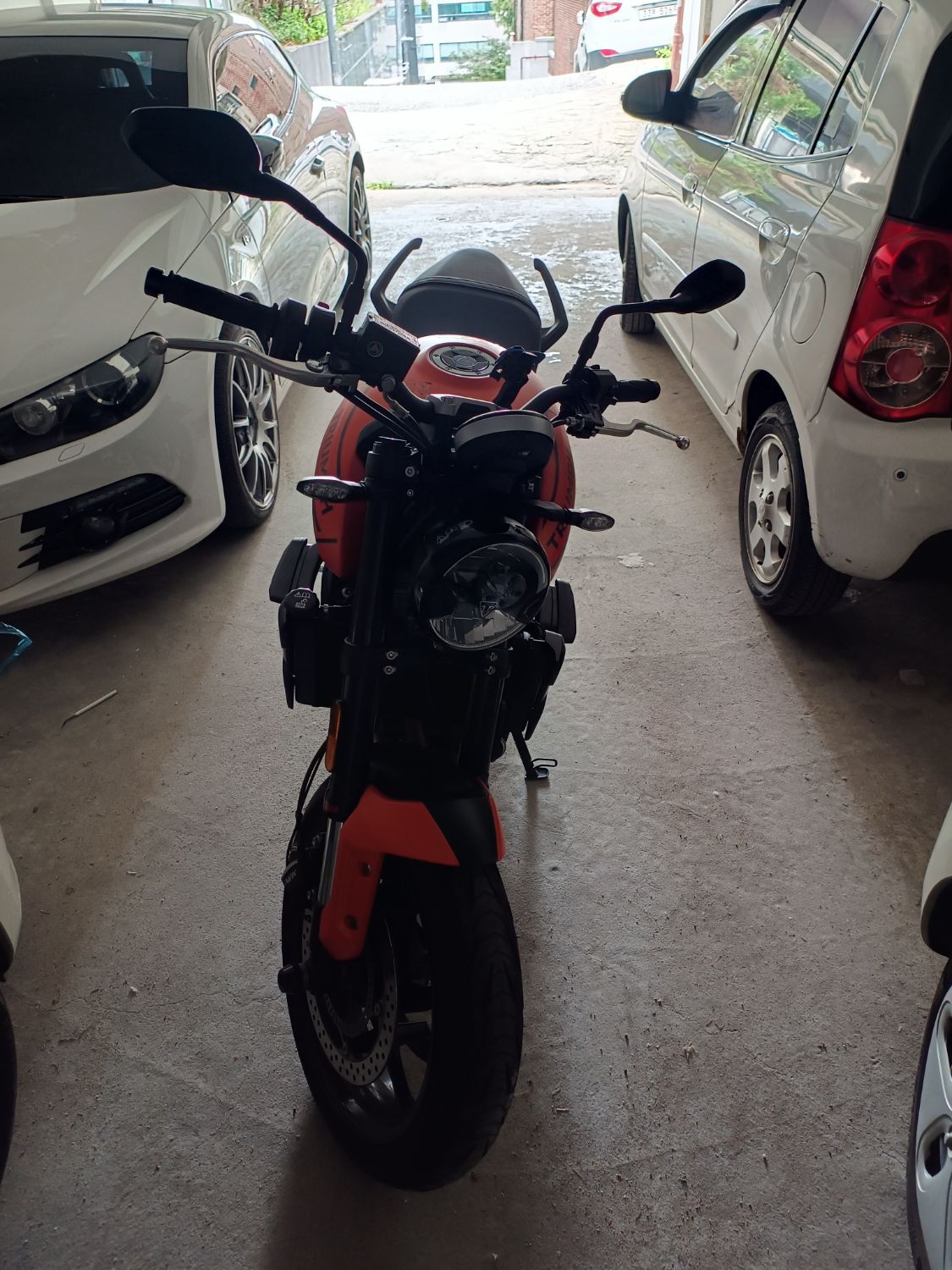 트라이엄프 트라이던트 660 more