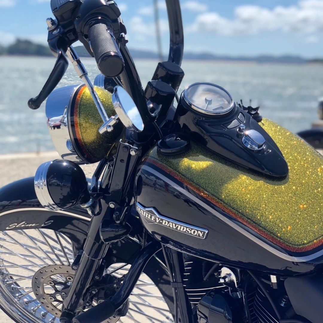 할리데이비슨 소프테일 슬림 S more