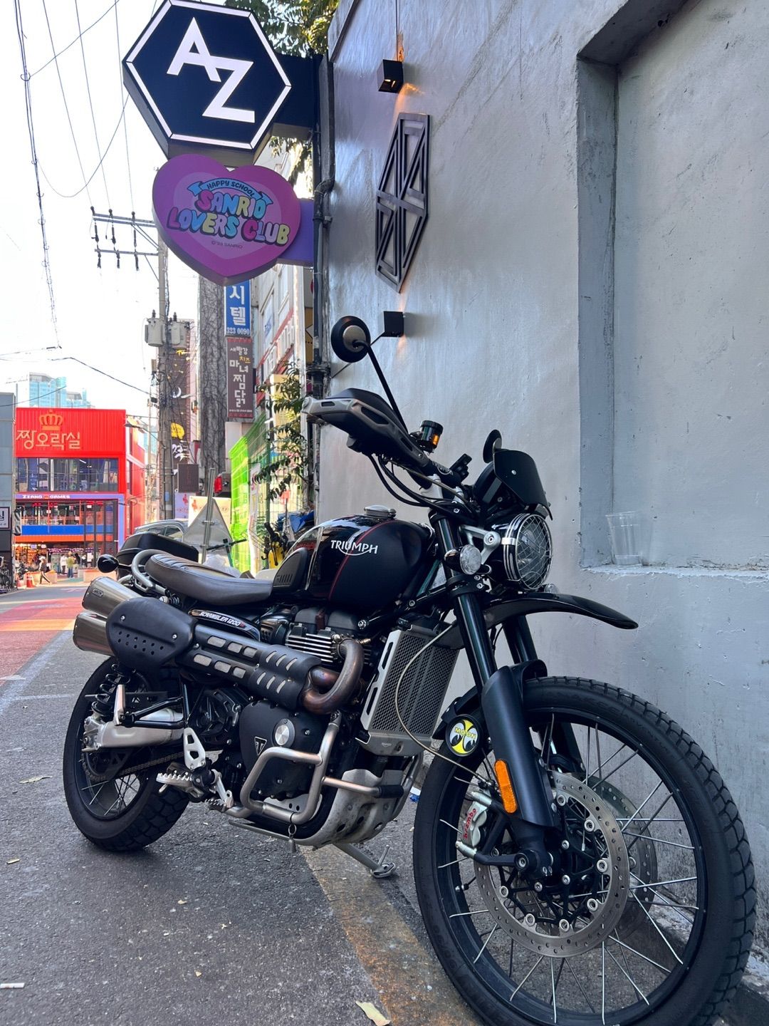 트라이엄프 스크램블러 1200 XC more