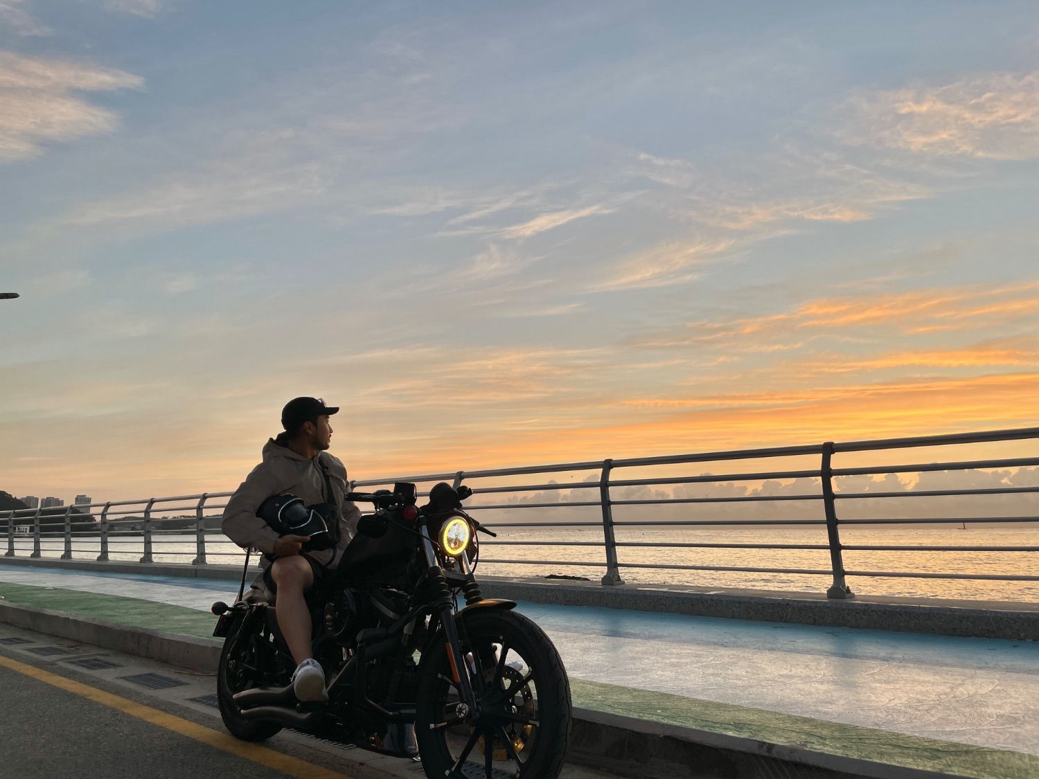 할리데이비슨 아이언 883 2018 블랙 사진 8
