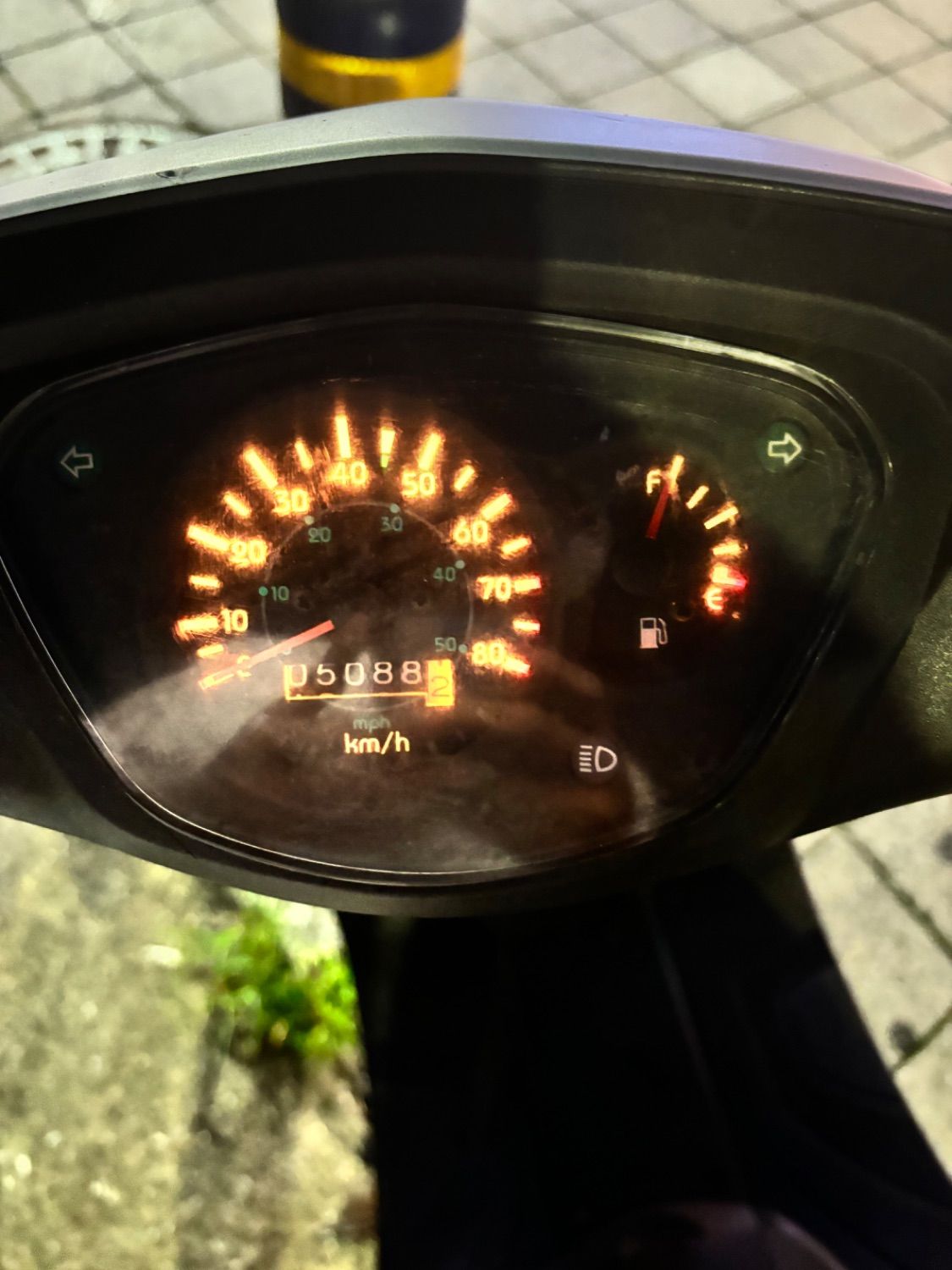 대림 윌리 80 more