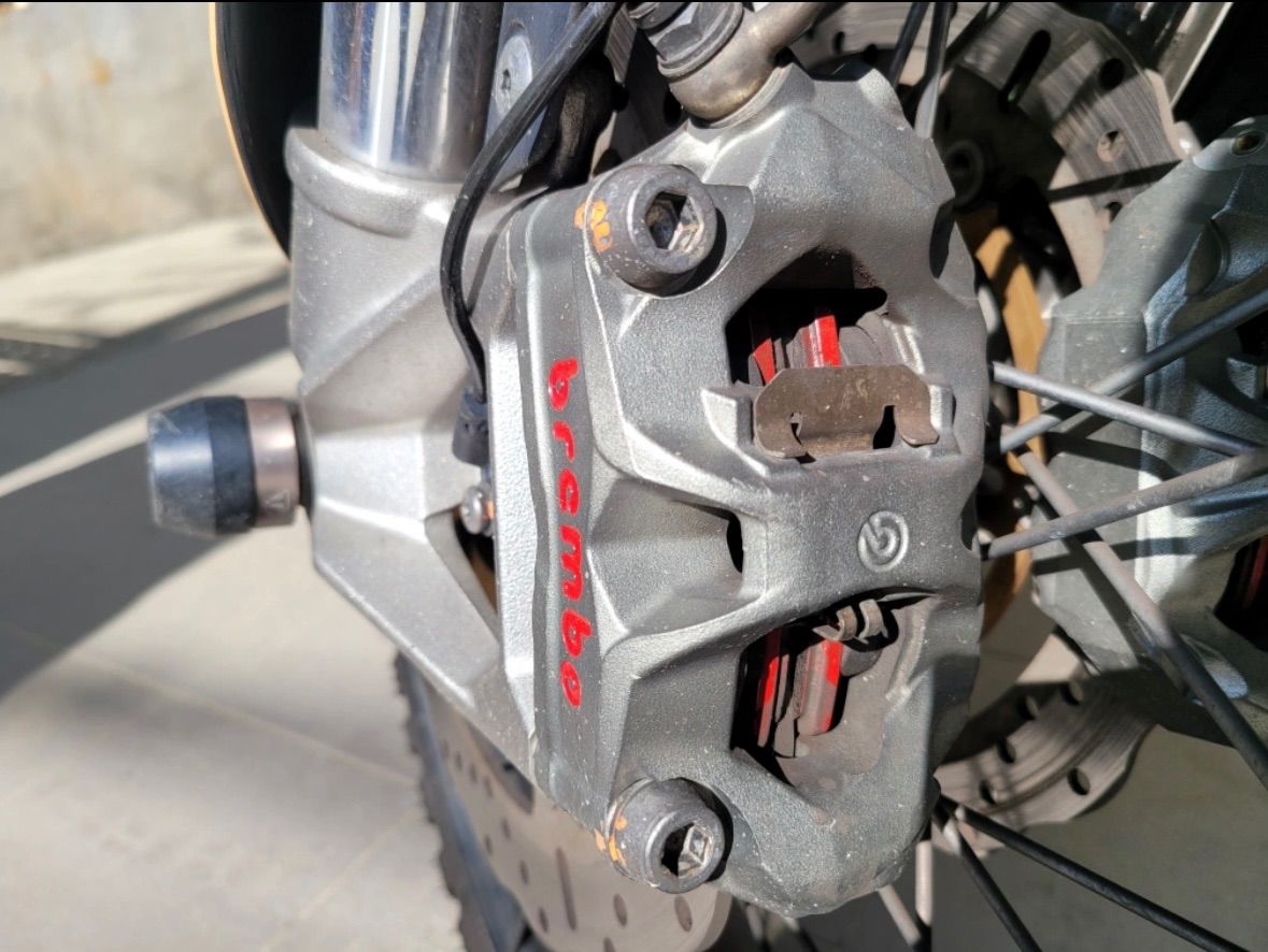 트라이엄프 타이거 900 랠리 프로 more