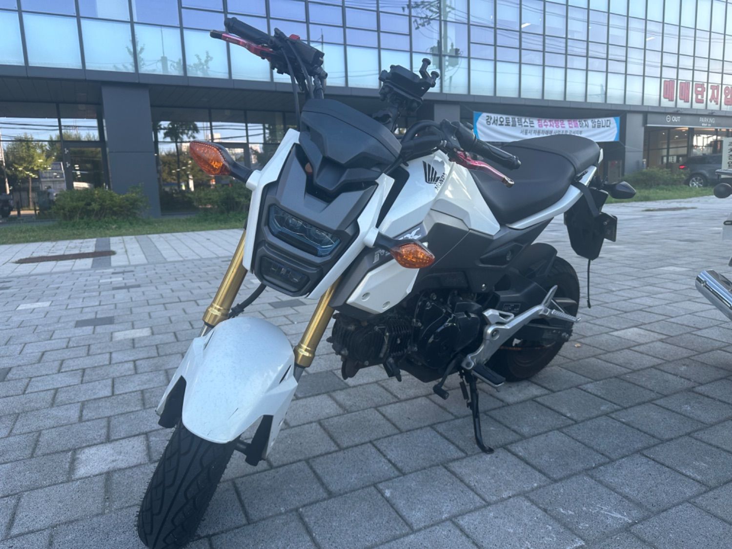 혼다 MSX 125 thumb 2