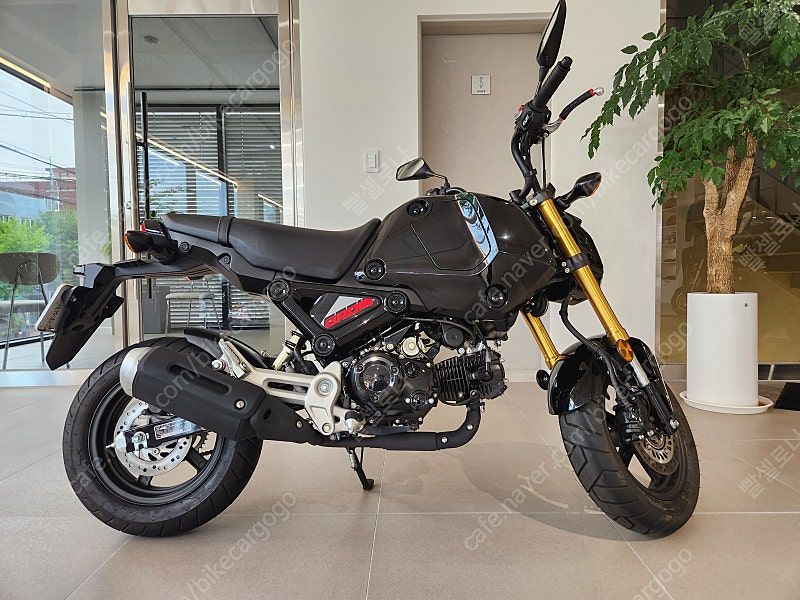 혼다 MSX 125 그롬 thumb 2