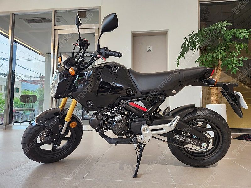 혼다 MSX 125 그롬 more