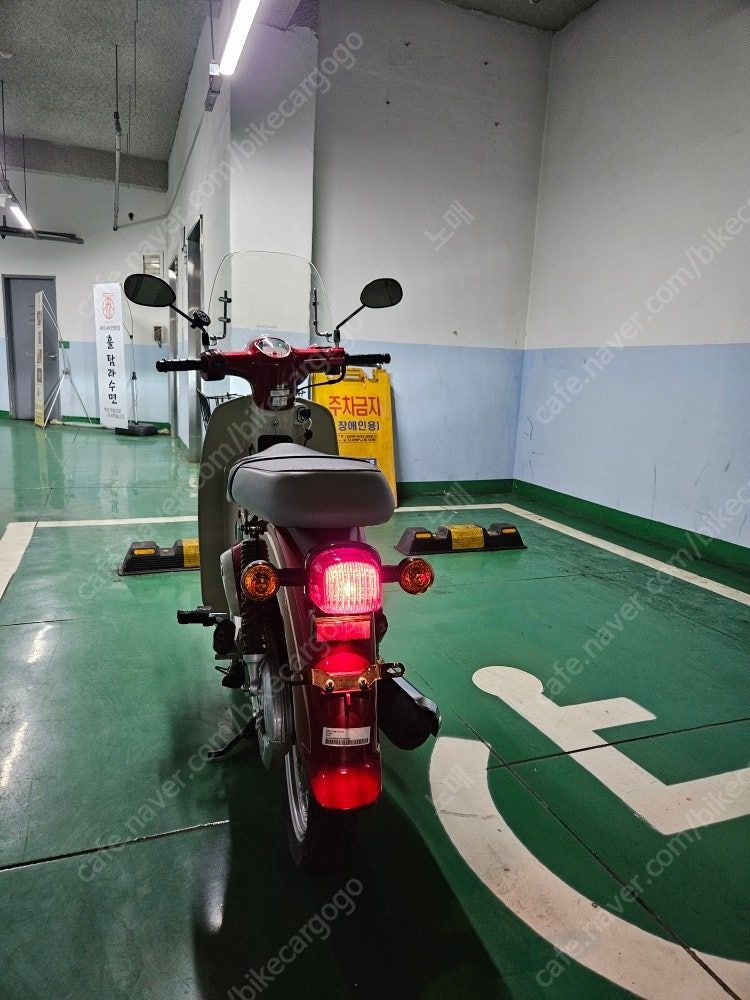 혼다 슈퍼 커브 110 thumb 2