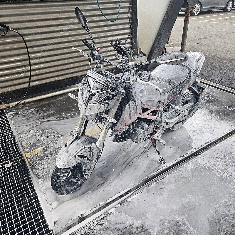 베넬리 TNT 125 more