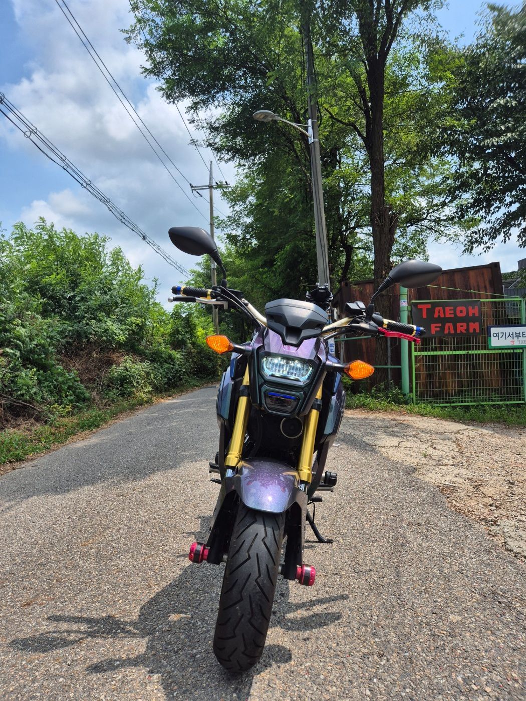 혼다 MSX 125 thumb 2