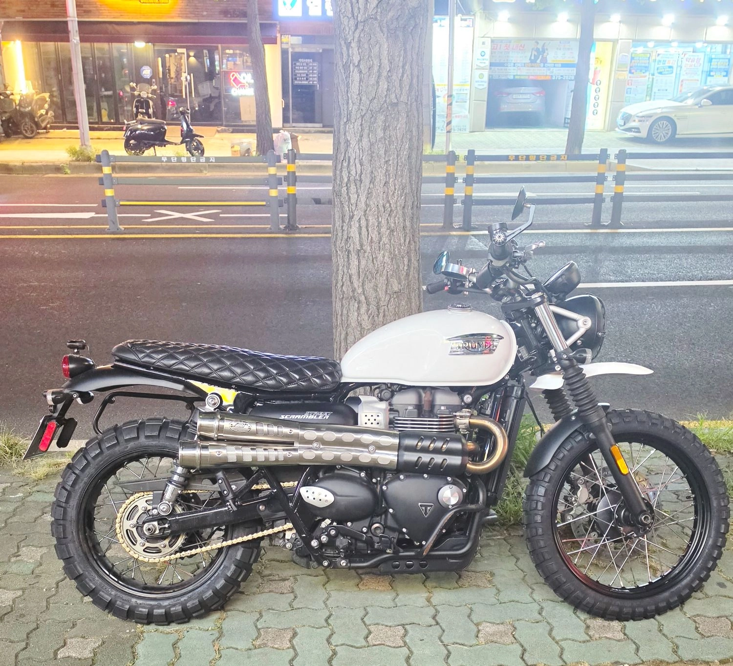 트라이엄프 SCRAMBLER 900 2020 화이트