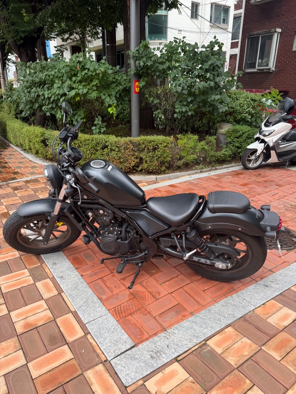 혼다 레블 500