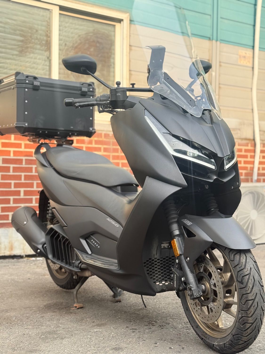 존테스 125 D main