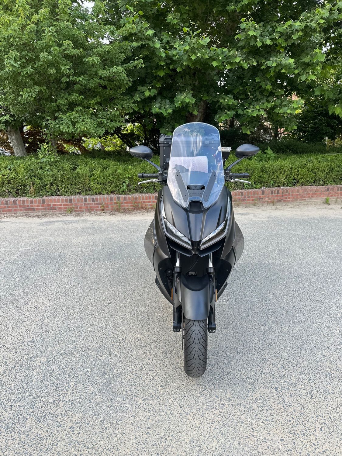 존테스 350 D main