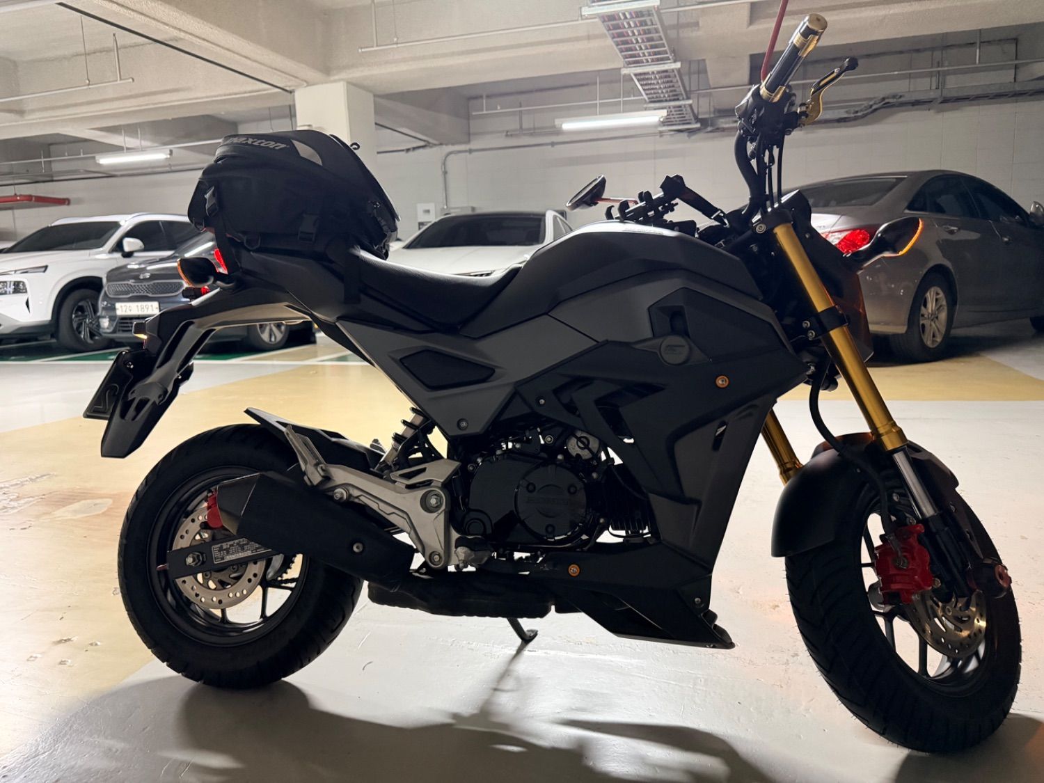 혼다 MSX 125 more