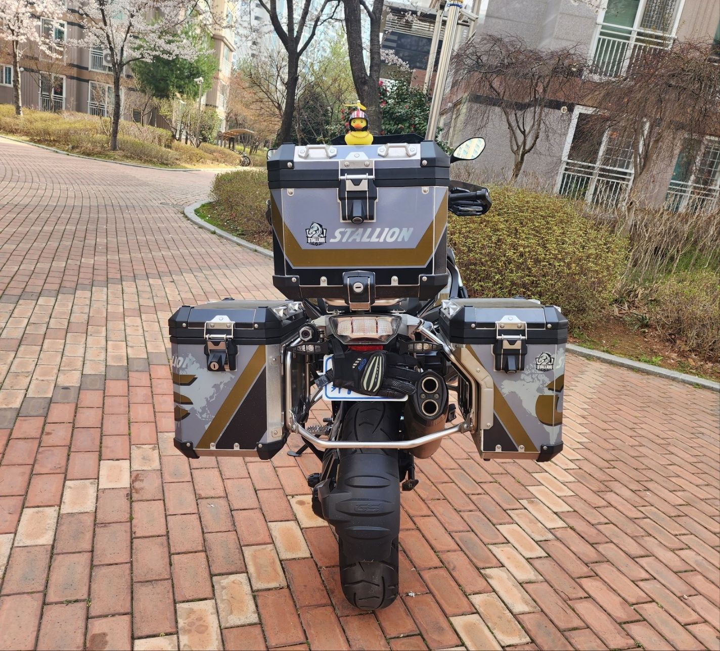 BMW R 1250 GS 어드벤처 more