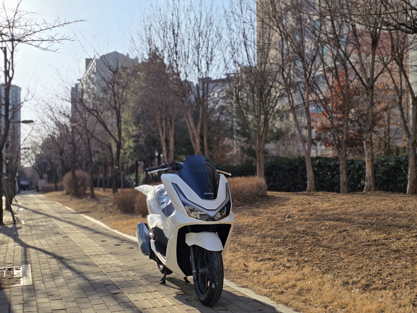 혼다 PCX 125 more